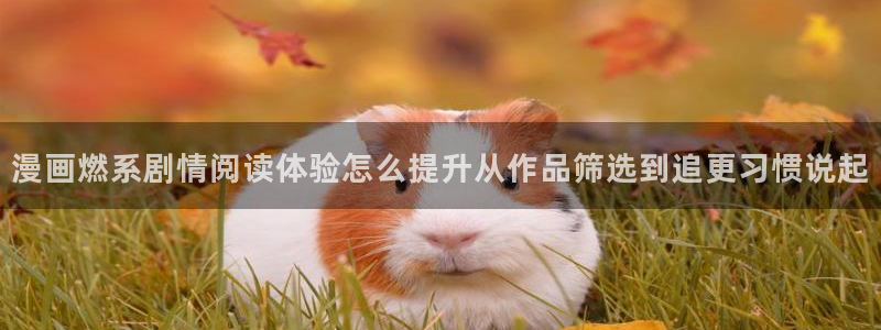 樱花日语学习网:漫画燃系剧情阅读体验怎么提升从作品筛选到追更习惯说起