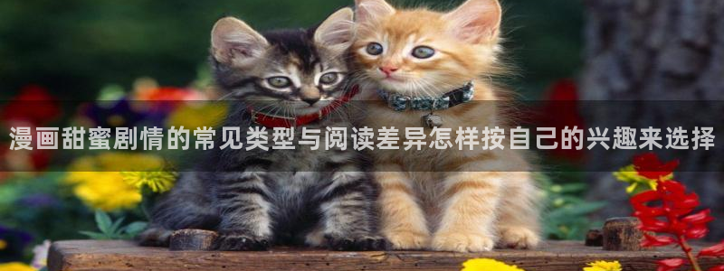 樱花日语动漫日语:漫画甜蜜剧情的常见类型与阅读差异怎样按自己的兴趣来选择
