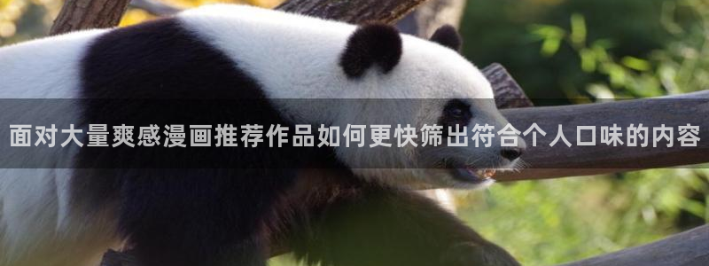 樱花日语免费课程：面对大量爽感漫画推荐作品如何更快筛出符合个人口味的内容