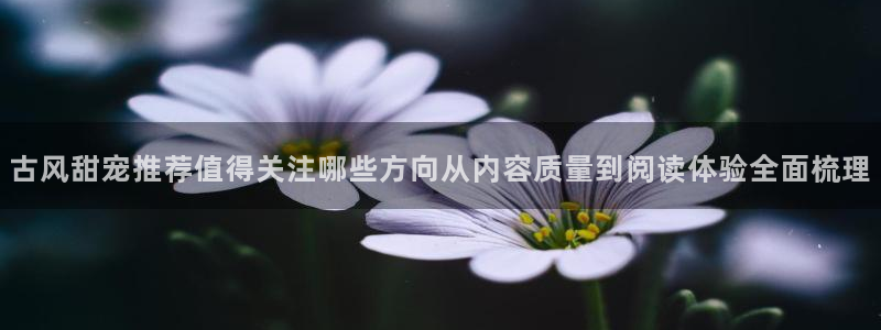 樱花日语知识大全：古风甜宠推荐值得关注哪些方向从内容质量到阅读体验全面梳理