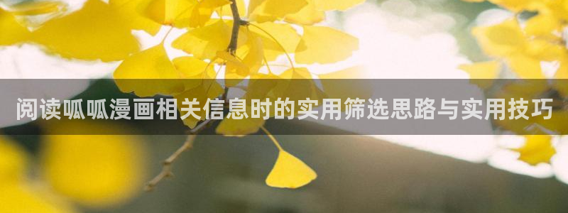 樱花日语网页入口:阅读呱呱漫画相关信息时的实用筛选思路与实用技巧