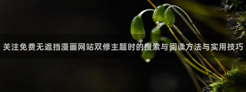 樱花日语单词:关注免费无遮挡漫画网站双修主题时的搜索与阅读方法与实用技巧