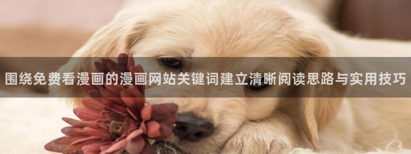 樱花日语网站大全:围绕免费看漫画的漫画网站关键词建立清晰阅读思路与实用技巧